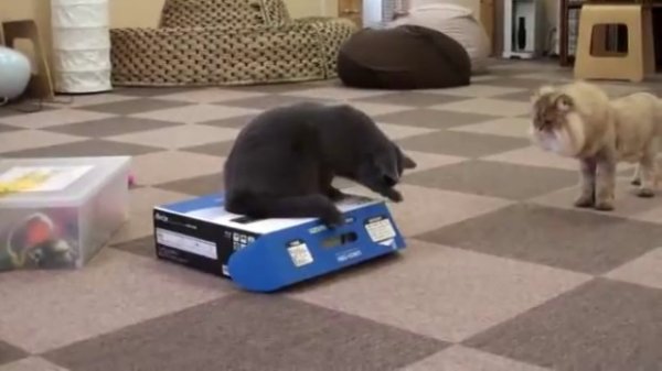 Избавился от конкурента