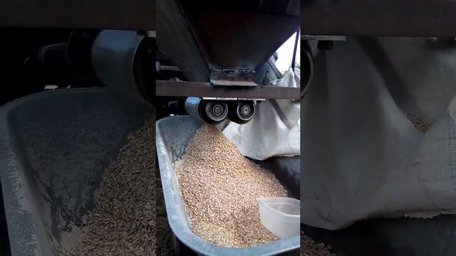 Плющилка зерна смотреть онлайн