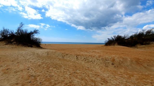 #АНАПА. ВЕСНА - В 4К #ВИТЯЗЕВО РАДУЕТ - ДЕЛЬФИНЫ И ДРУГАЯ ЖИВНОСТЬ смотреть онлайн