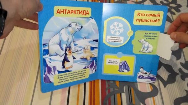 Книжка с окошками. Зоопарк