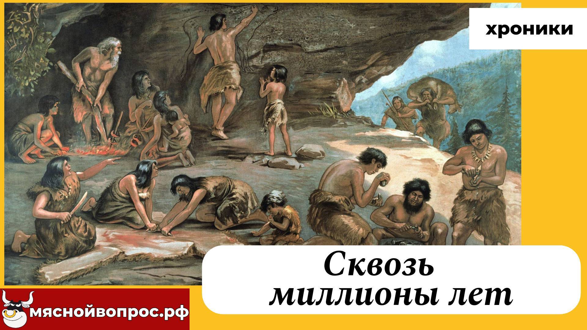 Как благодаря животным человечество узнает свою историю? смотреть онлайн