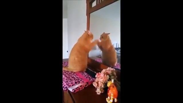 Кот барабанщик смотреть онлайн