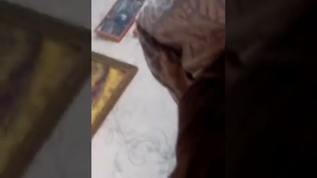 Как откосить от школы смотреть онлайн