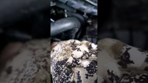 Установка клапана давления на Фиат Дукато 250 2,2 тди из китая