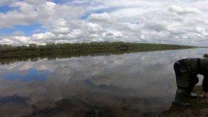 Ловля на маховую удочку! Голавль, плотва,чехонь!