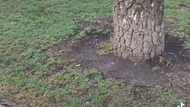 Яри Яри яри смотреть онлайн