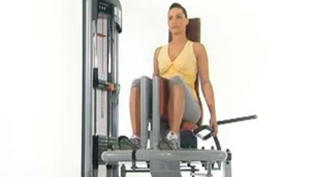 Teca SP160 Внутренняя поверхность бедра (сведение ног) смотреть онлайн