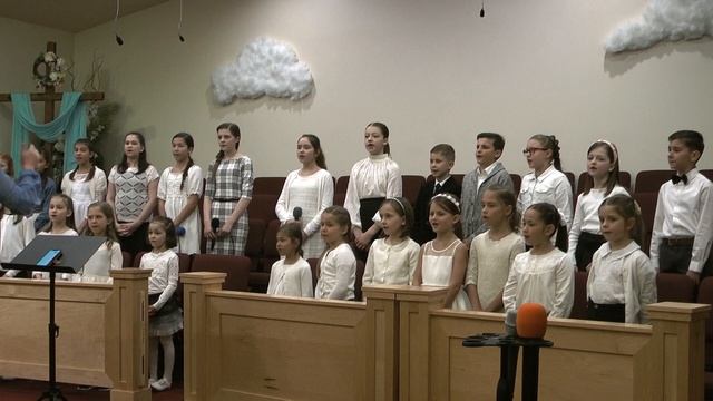 Где растут маслины? смотреть онлайн