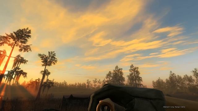 Hunting Ducks w/ 10 GA 20 GA, & .22 | theHunter Classic 2018 смотреть онлайн