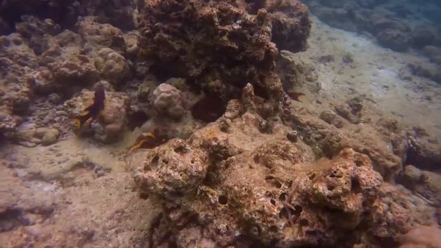 Dreamland The Unique Sea & Lake Resort / Мальдивские острова