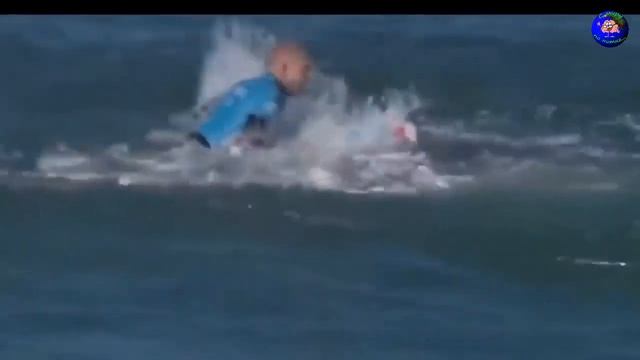 Почему акулы нападают на людей и как выжить при атаке смотреть онлайн