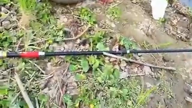 рыбалка в мае-удачная рыбалка алматы!!рыбалка на карася в октябре/ рыбалка летом на мормышку|рыбалк