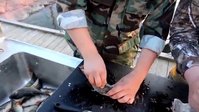 Как быстро почистить окуня рыбу смотреть онлайн