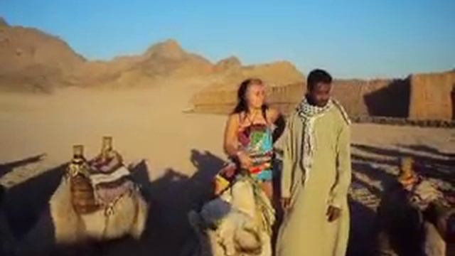 сажусь на верблюда смотреть онлайн