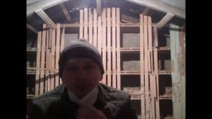 Обработка голубятни известью