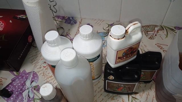 Часть2 (Вега): Две семечки в одном горшке ACDC CBD смотреть онлайн