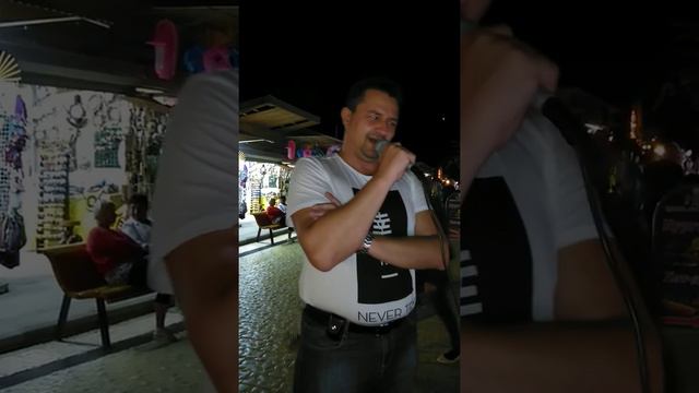 В городском саду падал снег... смотреть онлайн
