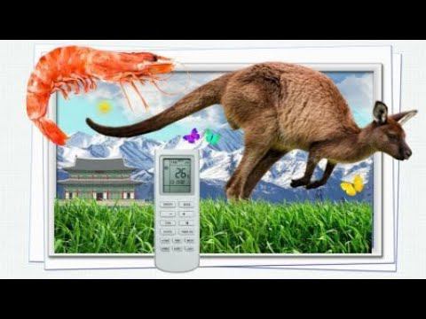 Хуньчунь / Заселились в Марию / Гуляю по Гомао / Золото / Сумки / Знак Вопроса / 09.07.2024