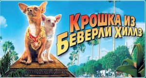 Крошка из Беверли-Хиллз | Beverly Hills Chihuahua (2008)