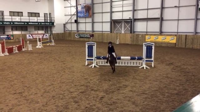 Rebel Raider early days 80cm Hartpury arena смотреть онлайн