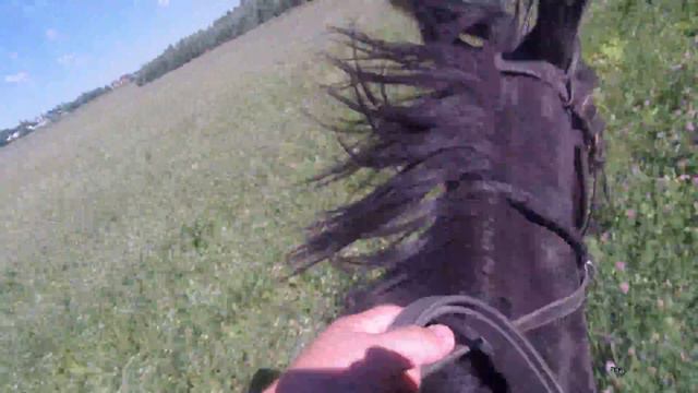 Галоп и подготовка лошади к конной атке смотреть онлайн