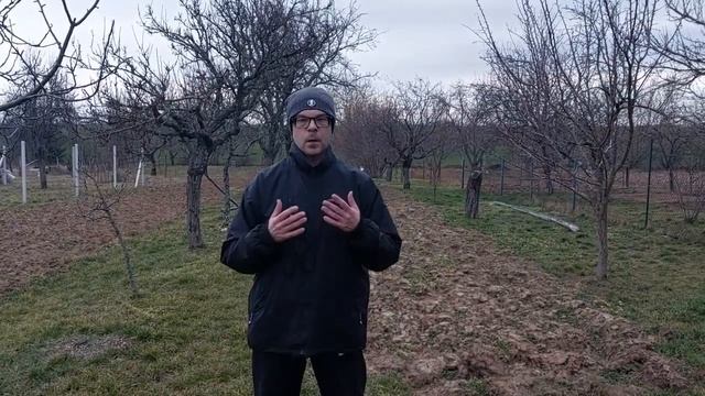 4 простых упражнения - заменят 2 часа тренировки в зале смотреть онлайн