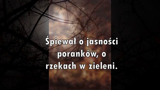 BLACK ORPHEUS Orfeusz i Eurydyka Czesław Miłosz смотреть онлайн