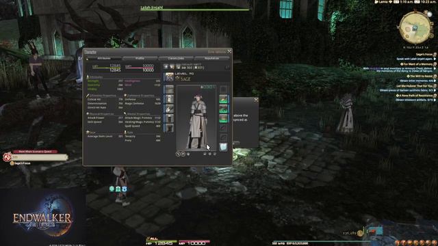Final Fantasy XIV: Endwalker - Unlocking Sage смотреть онлайн