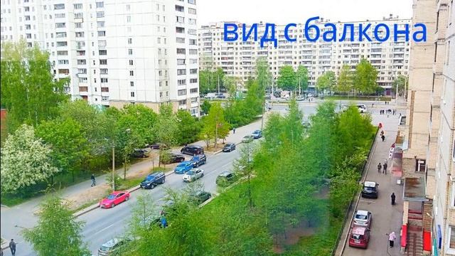 Отличная комната у метро пр.Просвещения смотреть онлайн