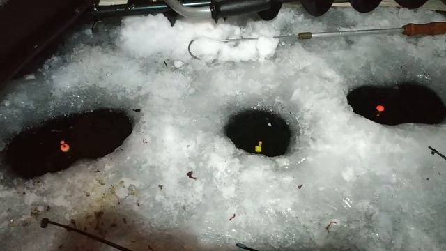 Ловля ночного леща. Эксперимент. Ночь вторая. смотреть онлайн