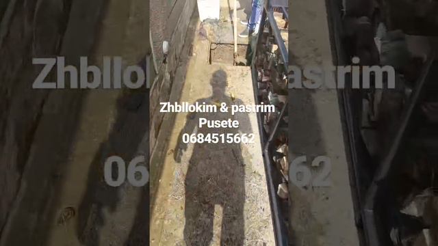 Zhbllokim tualeti banjo lavaman puseta 0684515662 смотреть онлайн