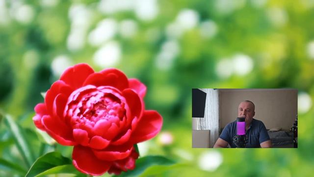 Павел не подозревал что жена вернется домой раньше и говорил по телефону. Жена замерла от его слов смотреть онлайн