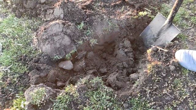 Металокоп,як ми ледь машину не окупили. КОП2020.Високовольтний кабель.Траки.Цікаві знахідки! смотреть онлайн