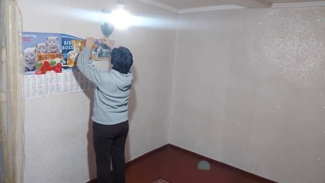 Потерялся кот/Начинаем ремонт/Обрезала малину смотреть онлайн