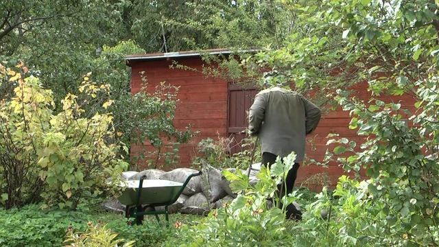 Дача Белоостров