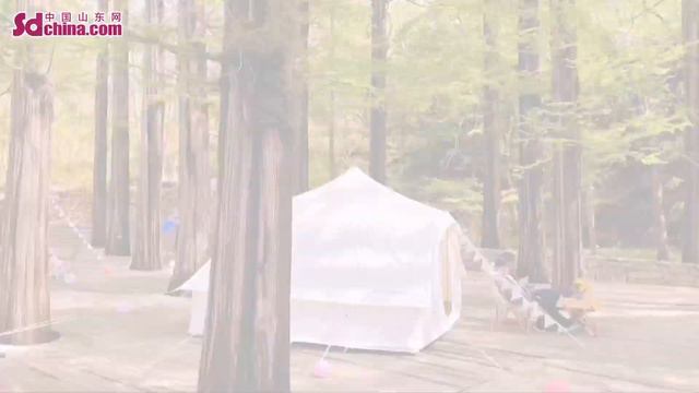 Phlox in full bloom creates a wonderland смотреть онлайн