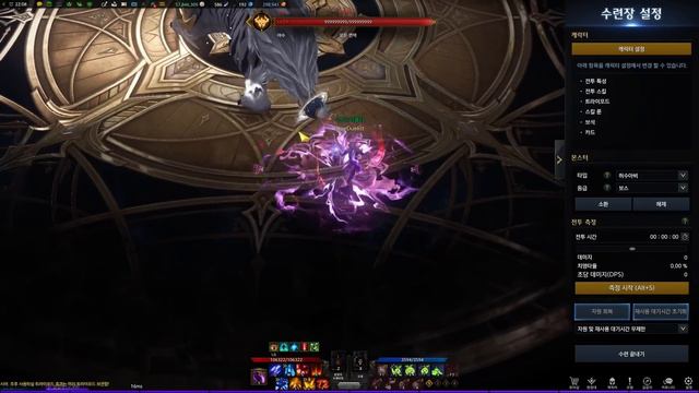 [Lost Ark] Arcanist(Arcana) tips on play смотреть онлайн