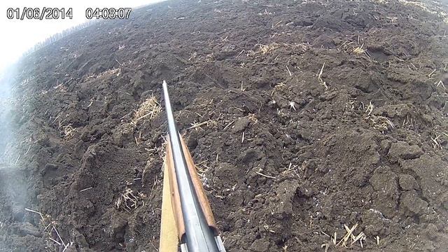 Охота на зайца с Тоз-34 28 калибр смотреть онлайн