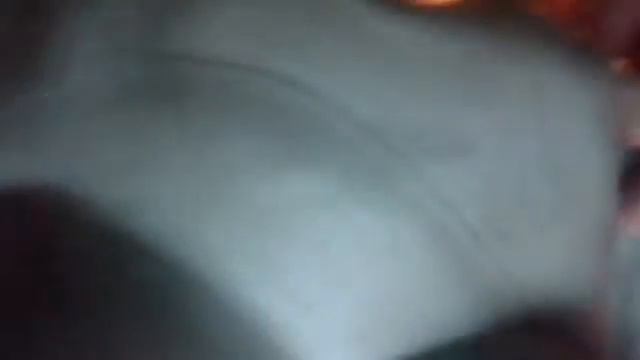 обзор притивогаза хомяк или пбф смотреть онлайн