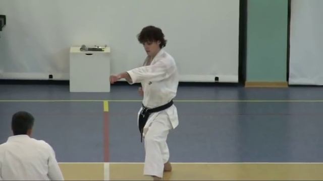 European Budo Karate Seminar Italy 2016 смотреть онлайн
