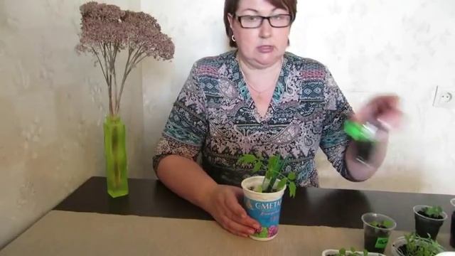 Моя рассада на 18.04.18 г. Томаты растут как сорняк. смотреть онлайн