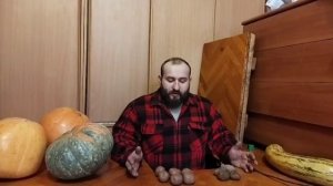 Картофель Бельмондо и Беллароза. Почему нам нравятся эти сорта.