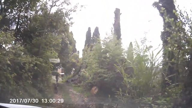 Дорога к замку Баграта в Сухуме смотреть онлайн