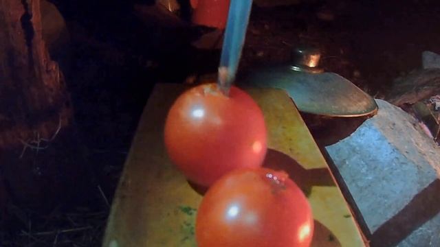 Эх, на природе хорошо очень, посидеть возле костерка, ушичку похлебать.?? смотреть онлайн