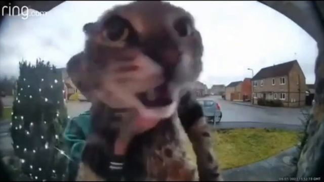 Программирование PHP