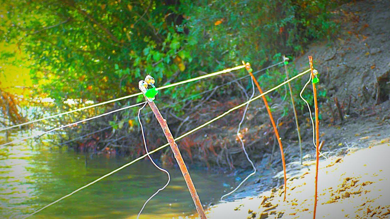 РЫБАЛКА С НОЧЁВКОЙ НА ЗАКИДУШКИ. САЗАН НА ЛЯГУШКУ. Рыбалка на сазана и сома. НОВАЯ ЛОДКА смотреть онлайн