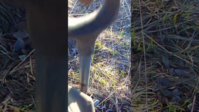 Откопал такое, находки супер! смотреть онлайн