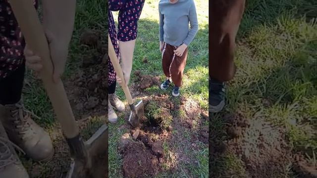 27 июля 2020 г. смотреть онлайн