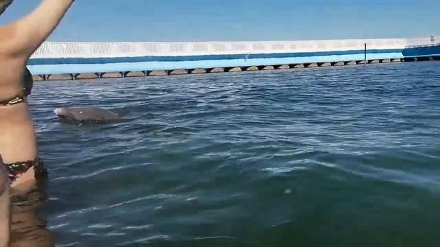 Морская экскурсия. Куба. Варадеро (Cuba Varadero) о.Кайо Бланко (CAYO Blanco).Контактный дельфинари смотреть онлайн