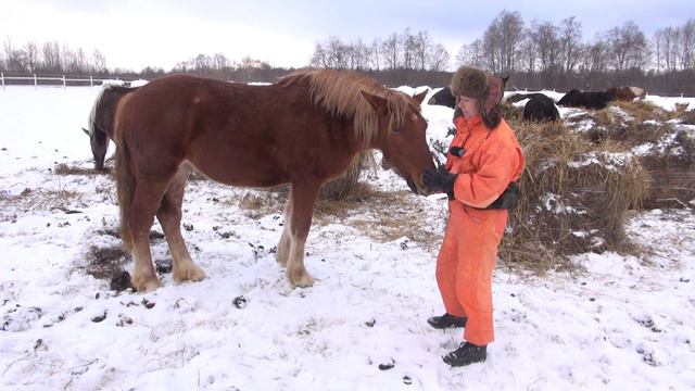 Об удовольствии смотрящих кино и сколько это стоит. смотреть онлайн